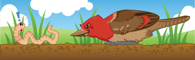 The,Early,Bird,Gets,The,Worm.,The,Early,Worm,Becomes